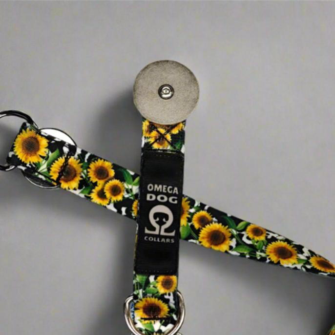 Scout Collar 🇺🇸