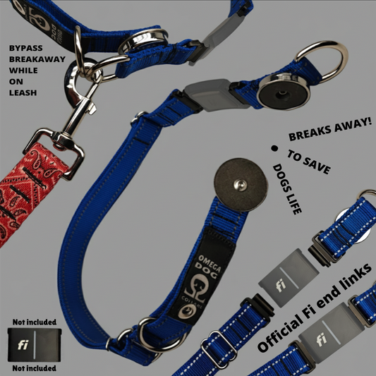 Scout Collar 🇺🇸