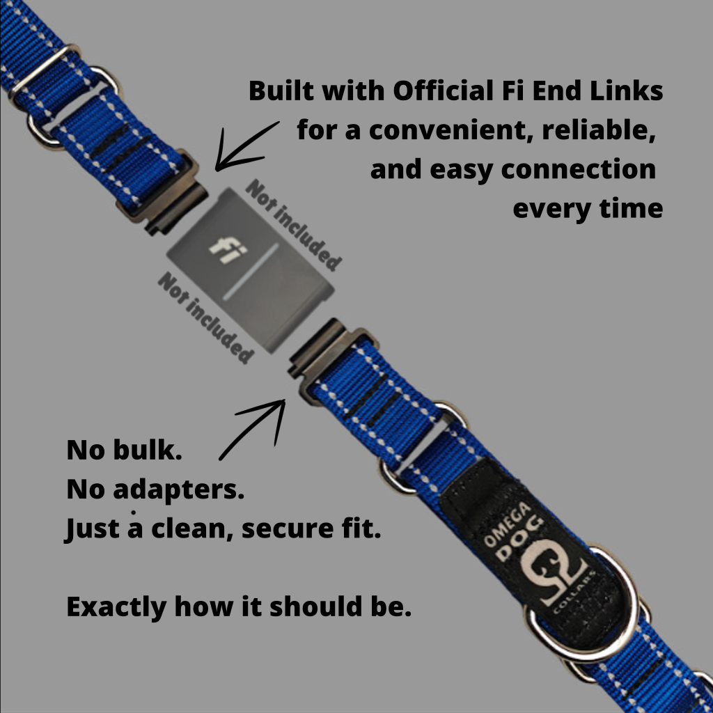 Ranger Collar 🇺🇸