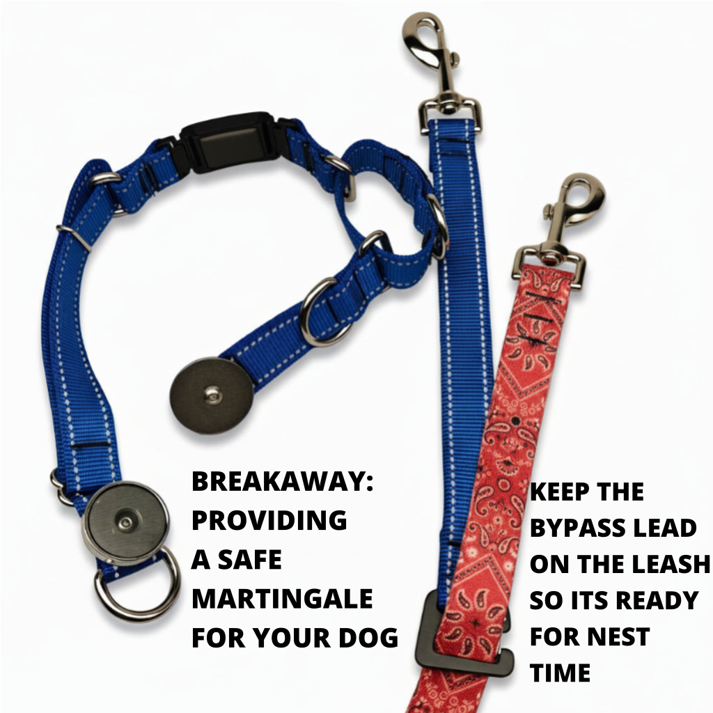 Ranger Collar 🇺🇸