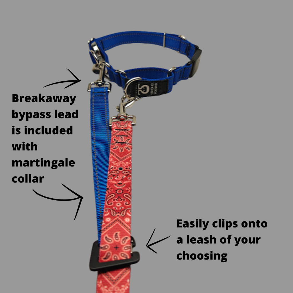 Ranger Collar 🇺🇸