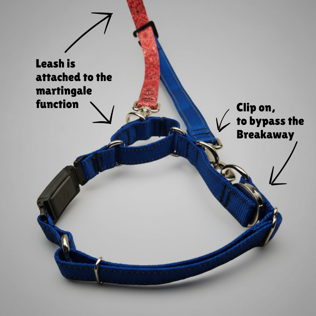 Ranger Collar 🇺🇸