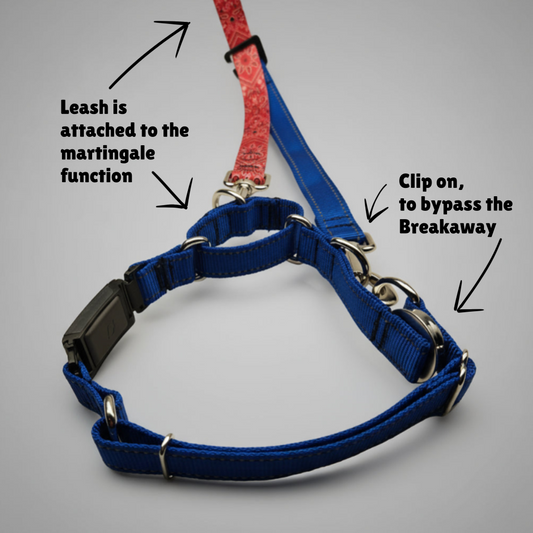 Ranger Collar 🇺🇸