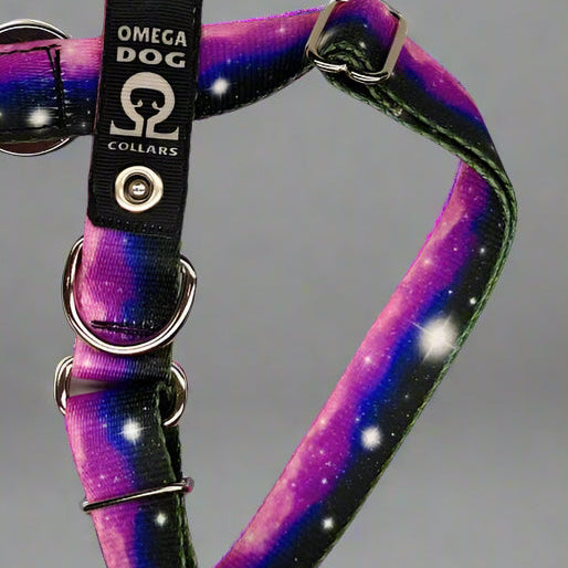 Scout Collar 🇺🇸