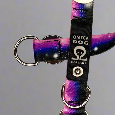 Buckle-V1 Breakaway Collar
